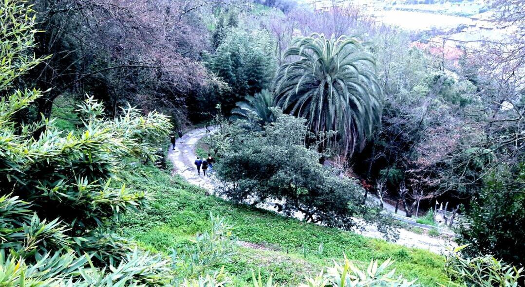 The Italian Riviera Bed and Breakfast San Salvatore  Buitenkant foto