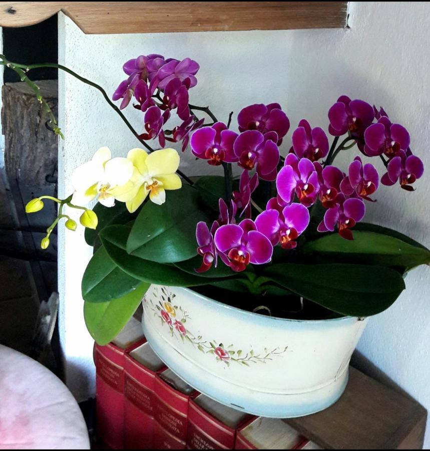 The Italian Riviera Bed and Breakfast San Salvatore  Buitenkant foto