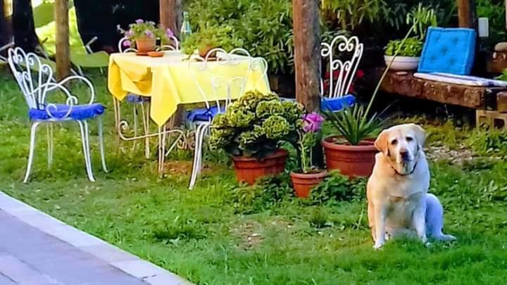 The Italian Riviera Bed and Breakfast San Salvatore  Buitenkant foto